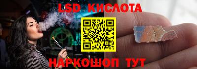 стаф Донской