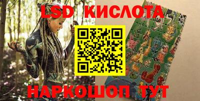 стаф Донской