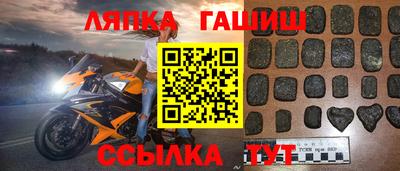 стаф Донской