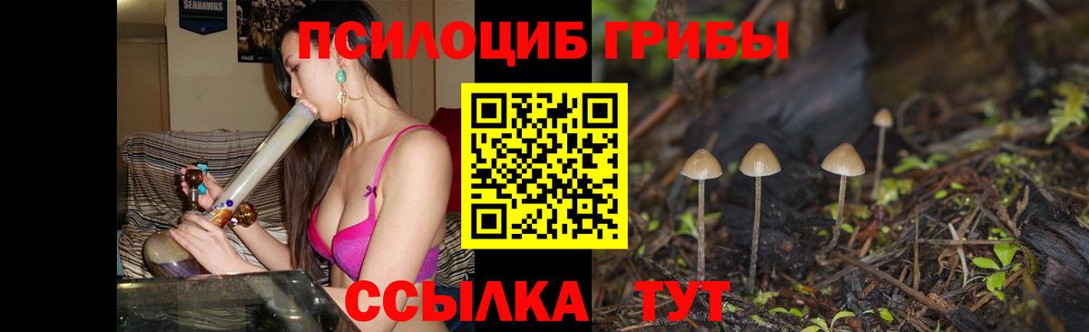 Междуреченск  Галлюциногенные грибы ЛСД  Вход с VPN 